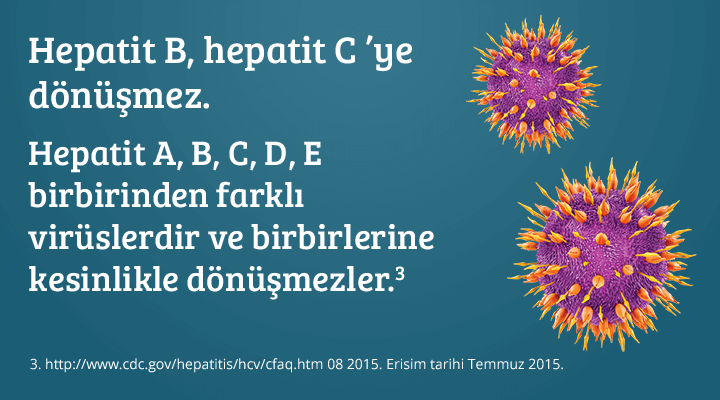 Hepatit B, hepatit C’ye dönüşmez. Hepatit A, B, C, D, E birbirinden farklı virüslerdir ve birbirlerine kesinlikle dönüşmezler.
